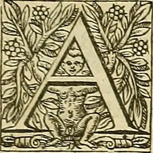 An illustration from The workes of that famous chirurgion Ambrose Parey :, 1649, leaf 434