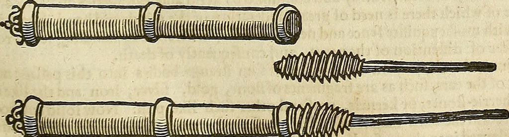 An illustration from The workes of that famous chirurgion Ambrose Parey :, 1649, leaf 446