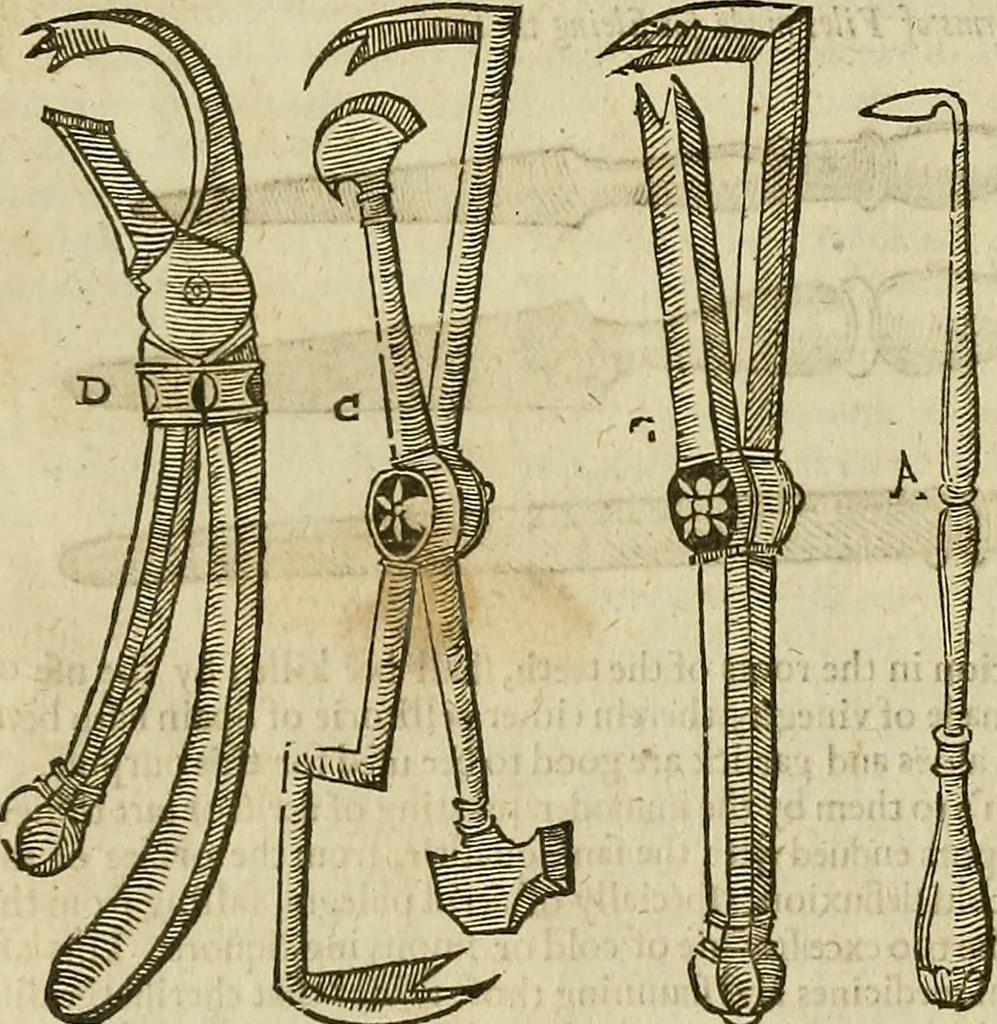 An illustration from The workes of that famous chirurgion Ambrose Parey :, 1649, leaf 451