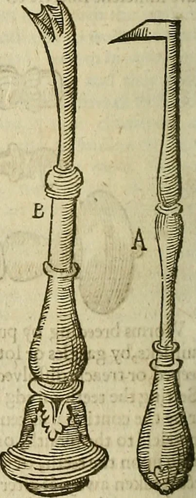 An illustration from The workes of that famous chirurgion Ambrose Parey :, 1649, leaf 451