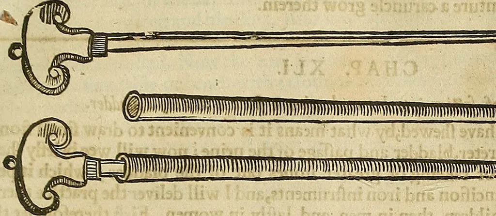 An illustration from The workes of that famous chirurgion Ambrose Parey :, 1649, leaf 460