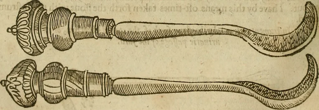 An illustration from The workes of that famous chirurgion Ambrose Parey :, 1649, leaf 461
