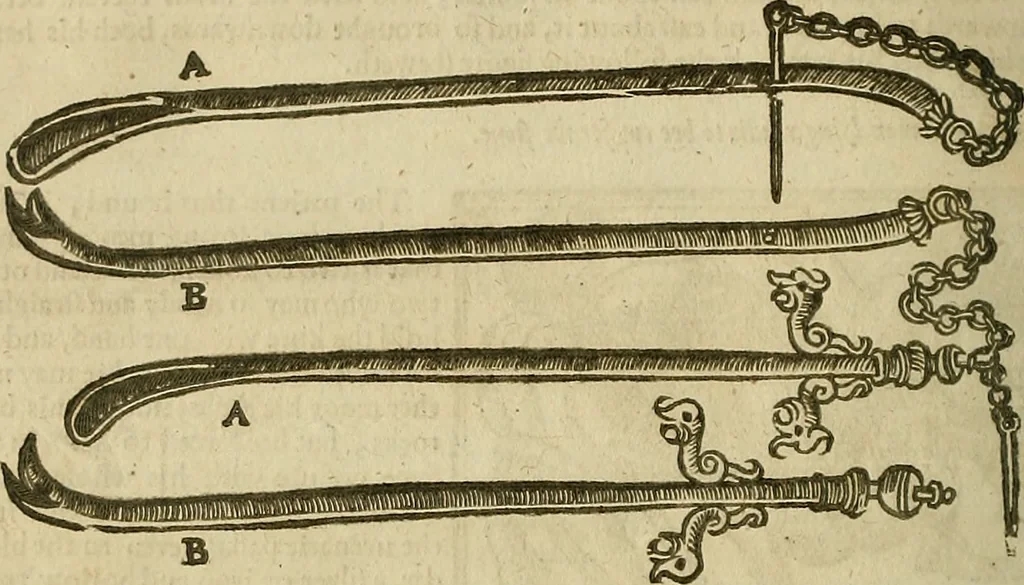 An illustration from The workes of that famous chirurgion Ambrose Parey :, 1649, leaf 463