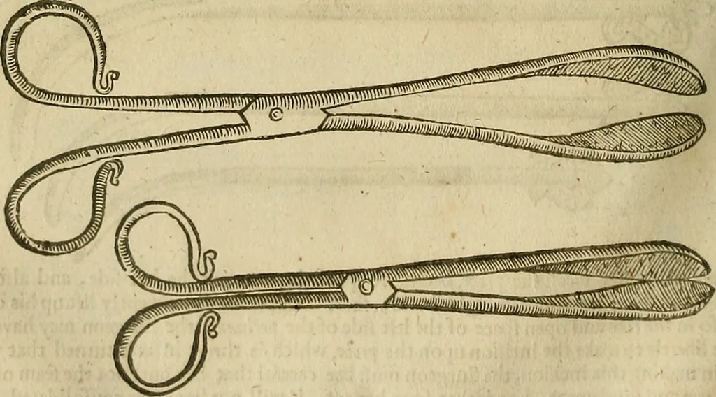 An illustration from The workes of that famous chirurgion Ambrose Parey :, 1649, leaf 463