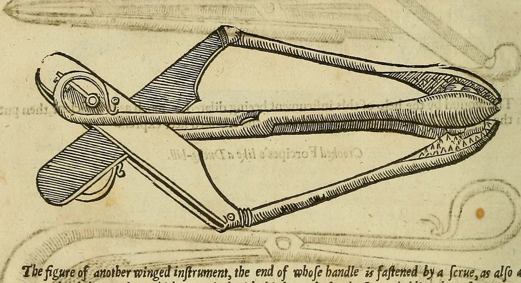An illustration from The workes of that famous chirurgion Ambrose Parey :, 1649, leaf 465