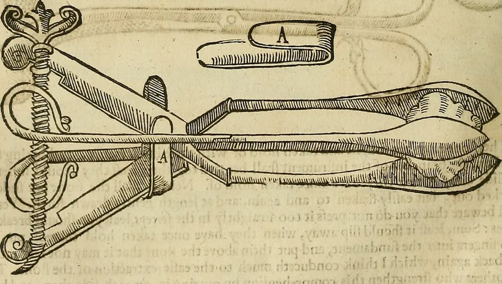 An illustration from The workes of that famous chirurgion Ambrose Parey :, 1649, leaf 465