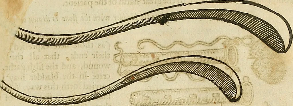 An illustration from The workes of that famous chirurgion Ambrose Parey :, 1649, leaf 466