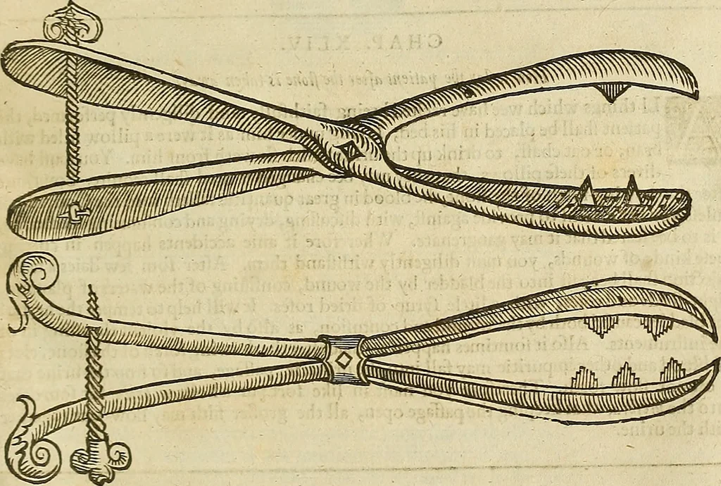 An illustration from The workes of that famous chirurgion Ambrose Parey :, 1649, leaf 466
