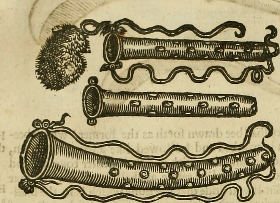 An illustration from The workes of that famous chirurgion Ambrose Parey :, 1649, leaf 467