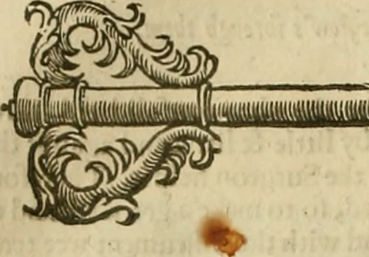An illustration from The workes of that famous chirurgion Ambrose Parey :, 1649, leaf 469