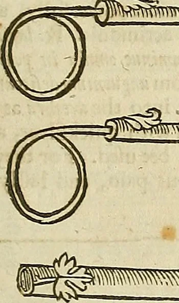 An illustration from The workes of that famous chirurgion Ambrose Parey :, 1649, leaf 516