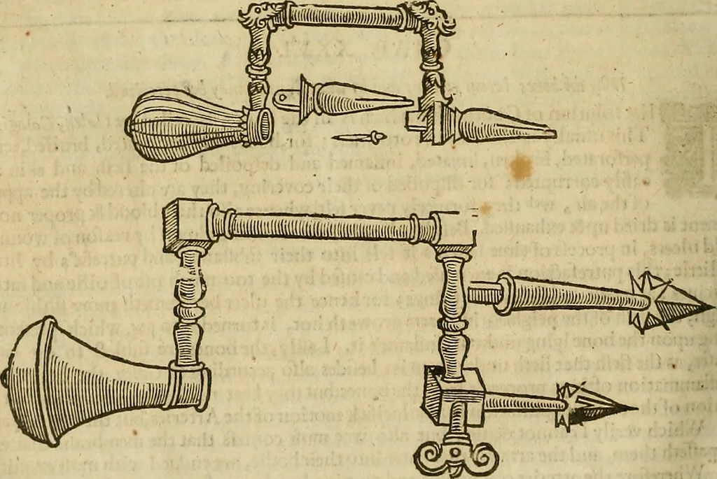 An illustration from The workes of that famous chirurgion Ambrose Parey :, 1649, leaf 519