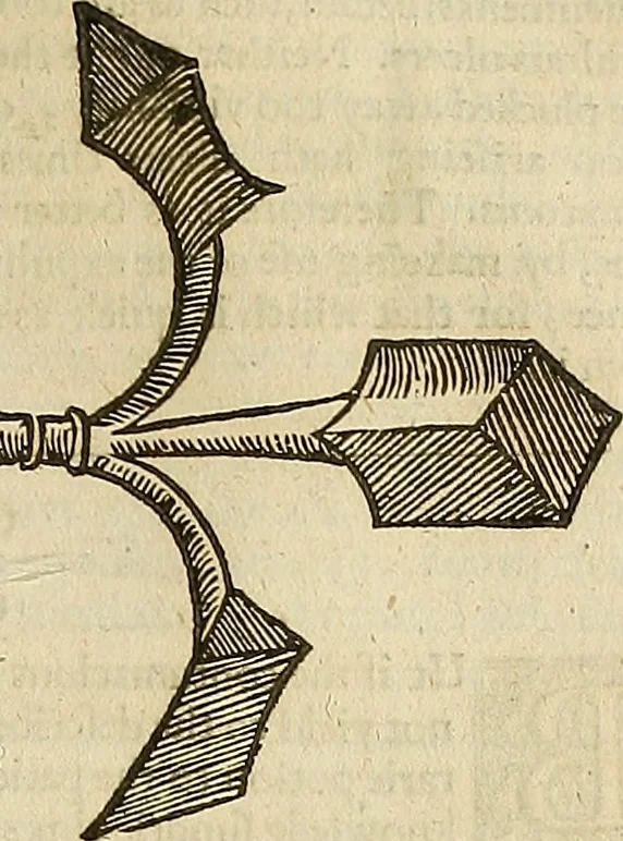An illustration from The workes of that famous chirurgion Ambrose Parey :, 1649, leaf 522