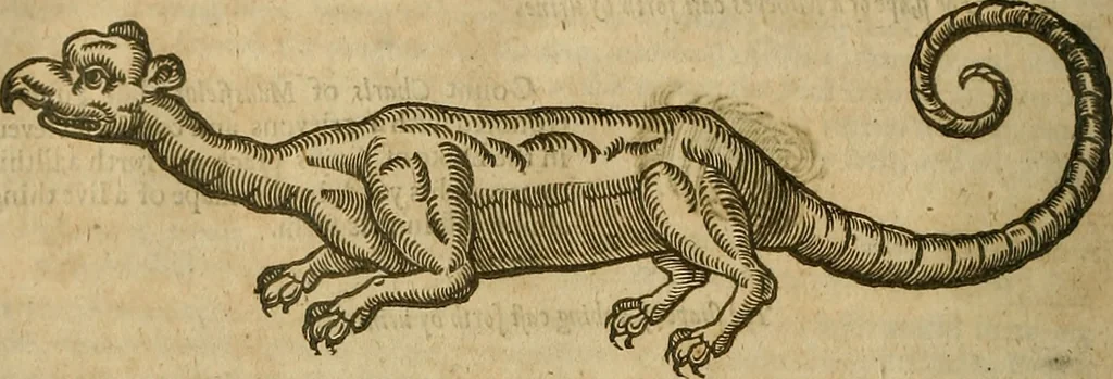 An illustration from The workes of that famous chirurgion Ambrose Parey :, 1649, leaf 531