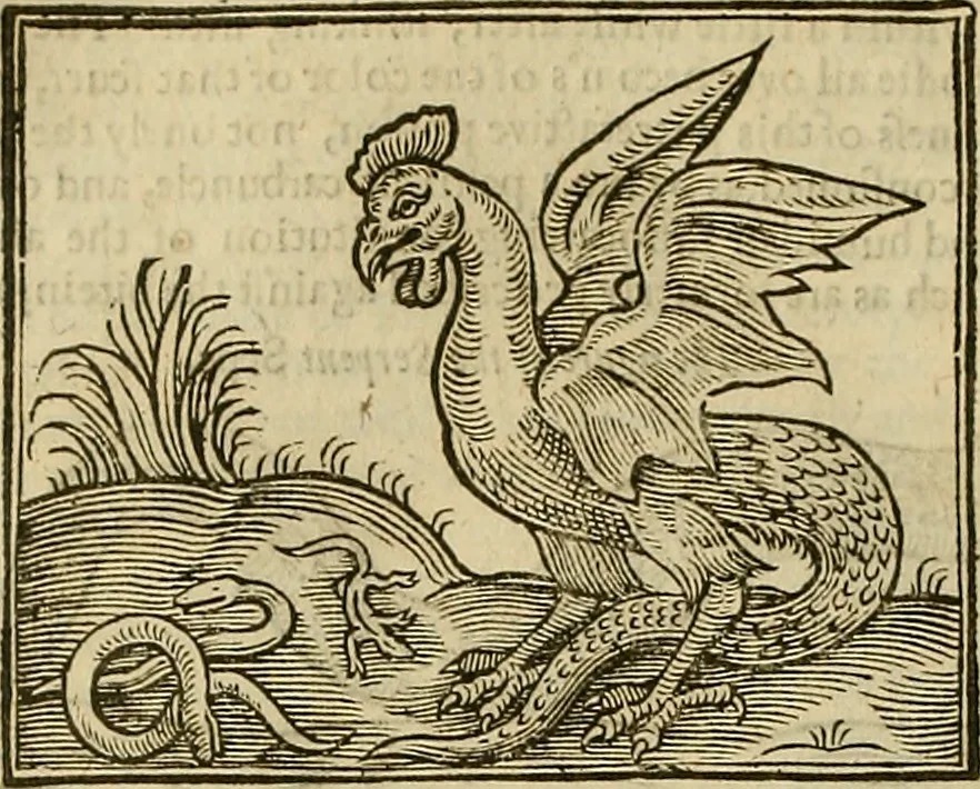 An illustration from The workes of that famous chirurgion Ambrose Parey :, 1649, leaf 553