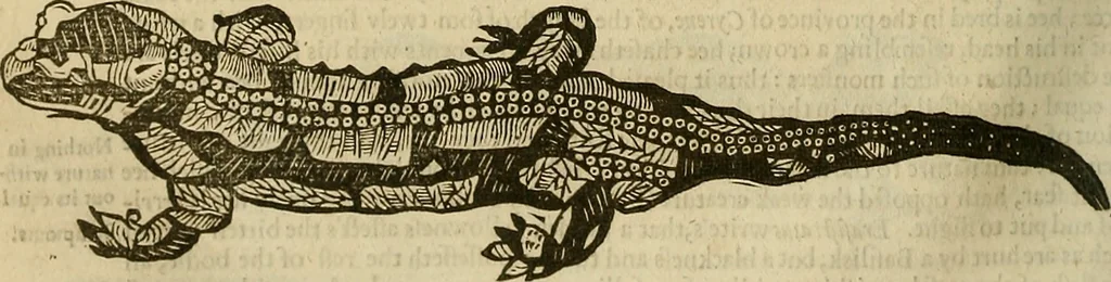An illustration from The workes of that famous chirurgion Ambrose Parey :, 1649, leaf 553
