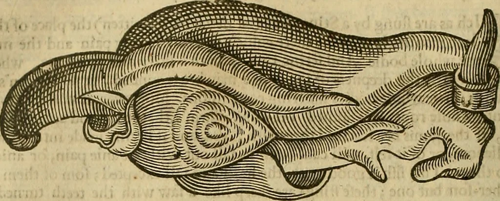 An illustration from The workes of that famous chirurgion Ambrose Parey :, 1649, leaf 561