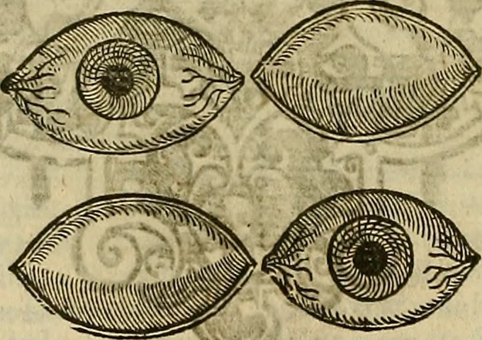 An illustration from The workes of that famous chirurgion Ambrose Parey :, 1649, leaf 611