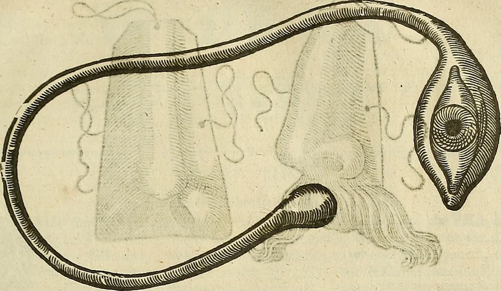 An illustration from The workes of that famous chirurgion Ambrose Parey :, 1649, leaf 612