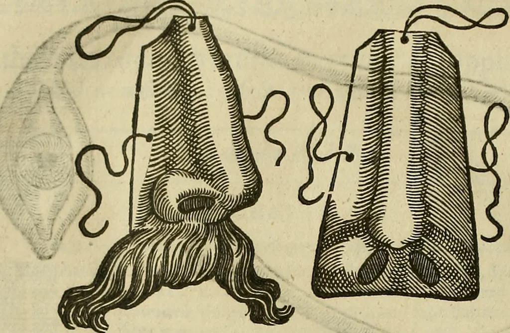 An illustration from The workes of that famous chirurgion Ambrose Parey :, 1649, leaf 613