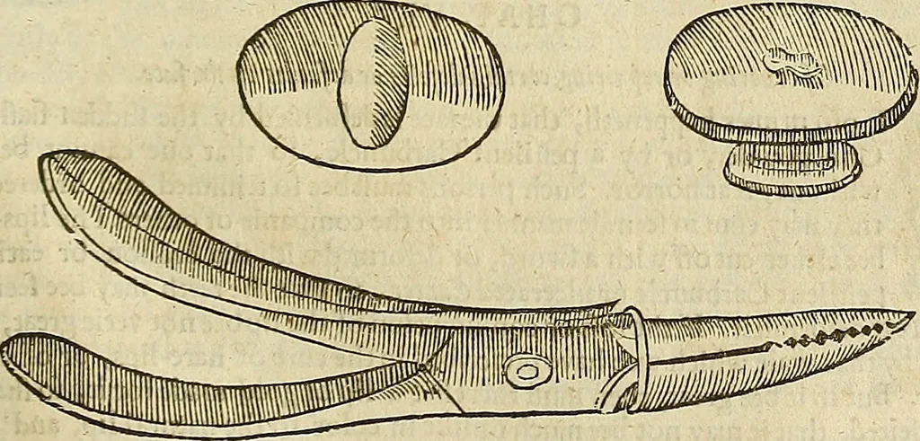 An illustration from The workes of that famous chirurgion Ambrose Parey :, 1649, leaf 614