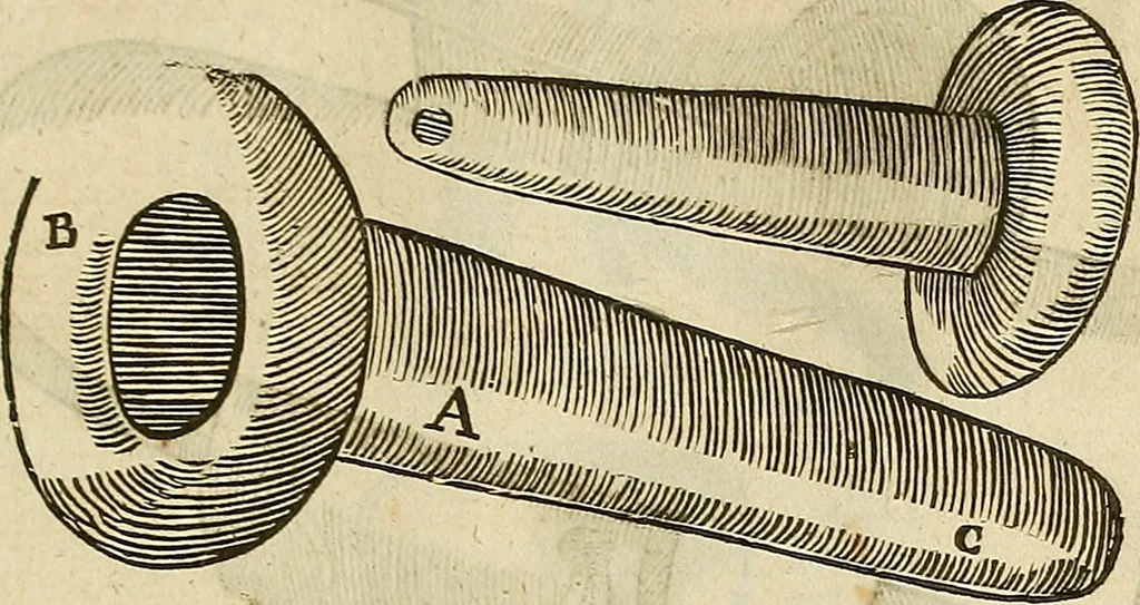 An illustration from The workes of that famous chirurgion Ambrose Parey :, 1649, leaf 618