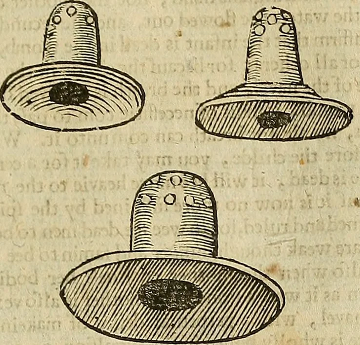 An illustration from The workes of that famous chirurgion Ambrose Parey :, 1649, leaf 646