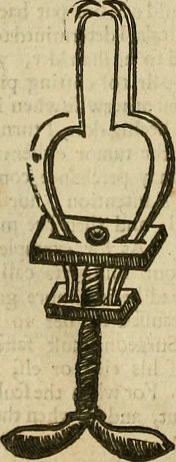 An illustration from The workes of that famous chirurgion Ambrose Parey :, 1649, leaf 649