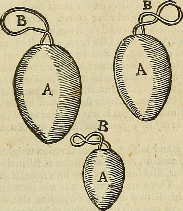 An illustration from The workes of that famous chirurgion Ambrose Parey :, 1649, leaf 664