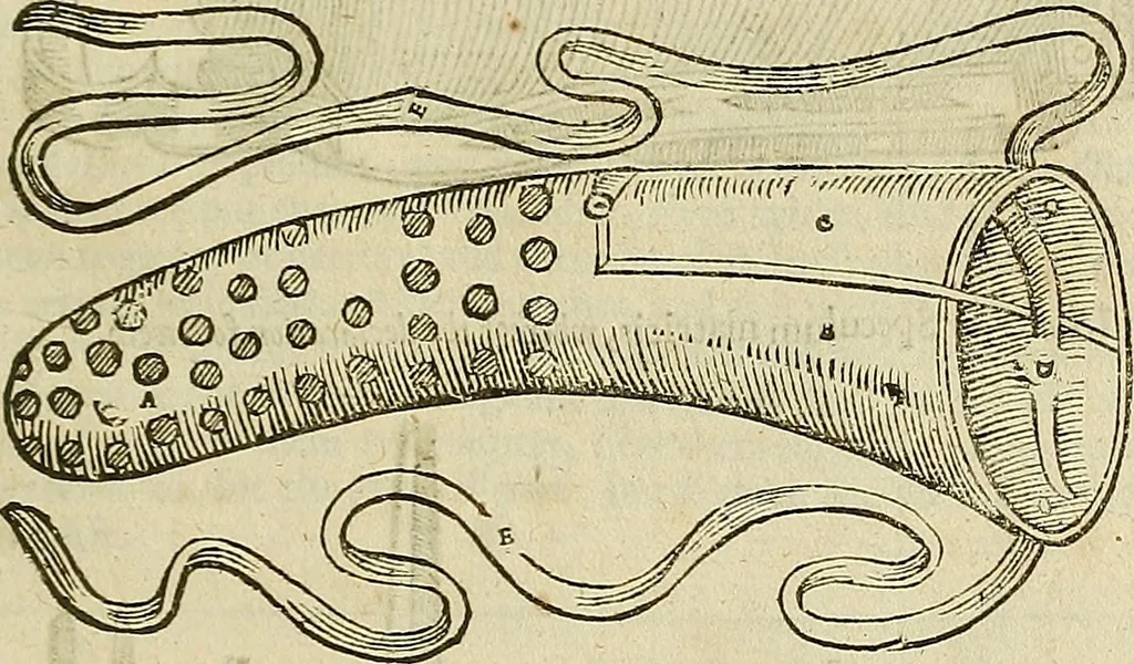 An illustration from The workes of that famous chirurgion Ambrose Parey :, 1649, leaf 678