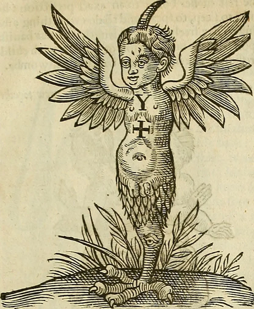 An illustration from The workes of that famous chirurgion Ambrose Parey :, 1649, leaf 684