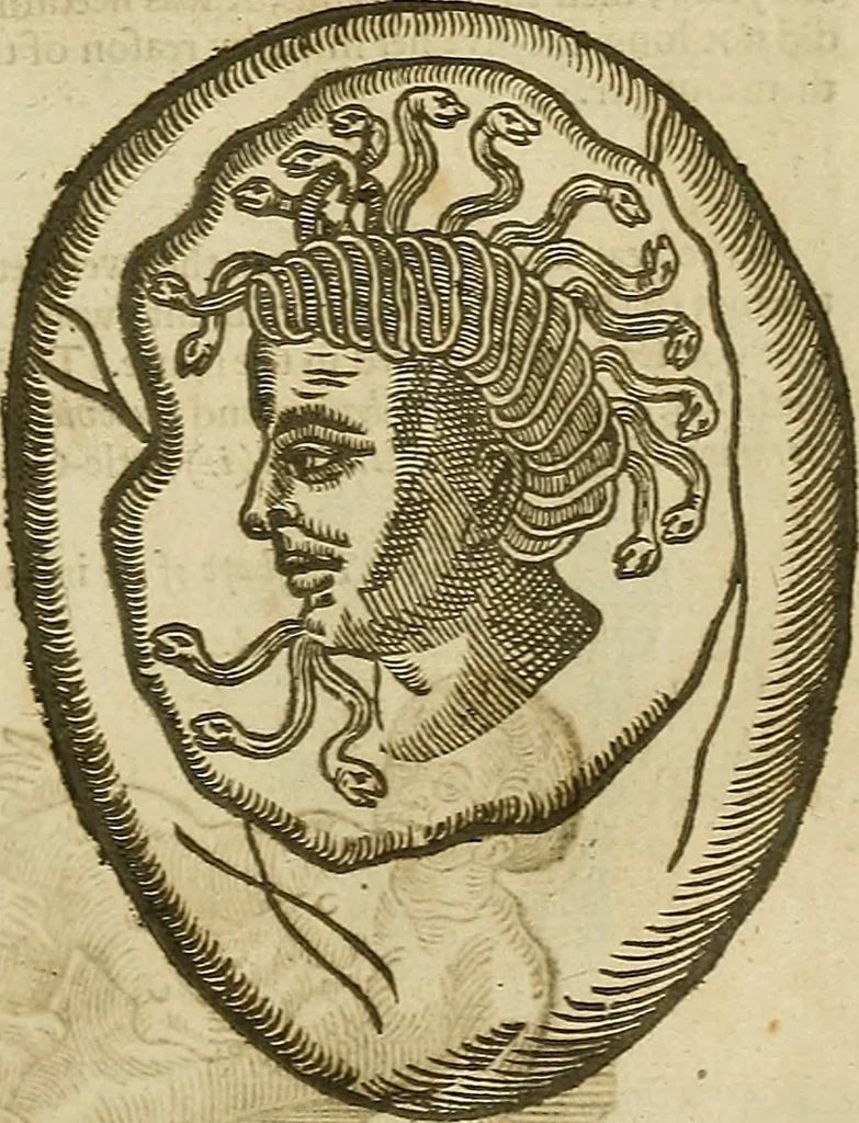 An illustration from The workes of that famous chirurgion Ambrose Parey :, 1649, leaf 686