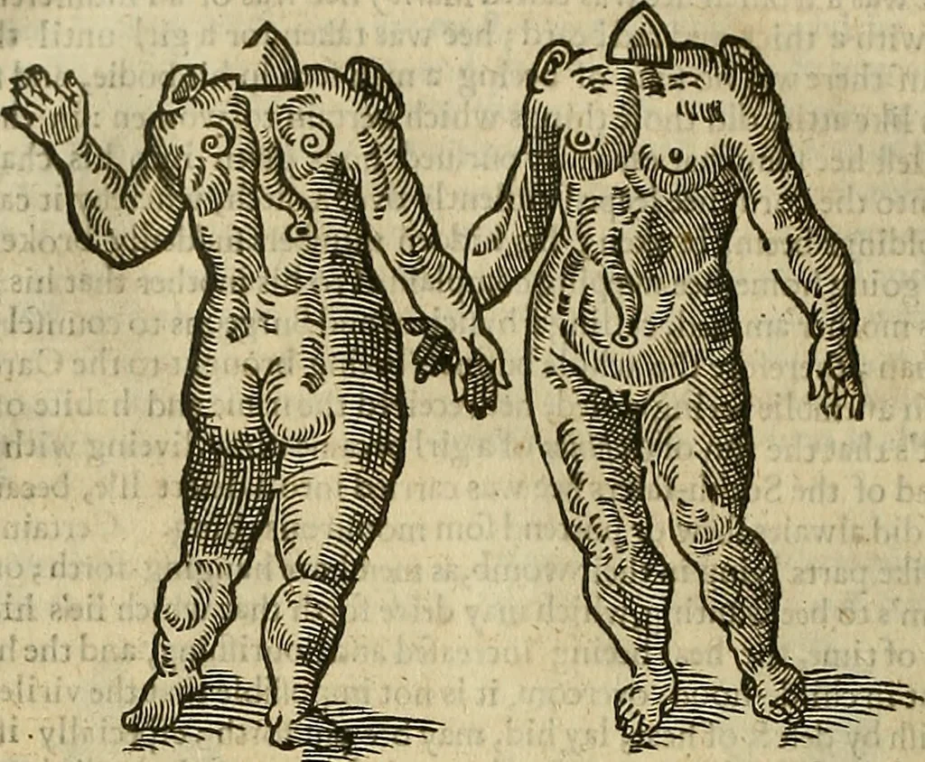 An illustration from The workes of that famous chirurgion Ambrose Parey :, 1649, leaf 693