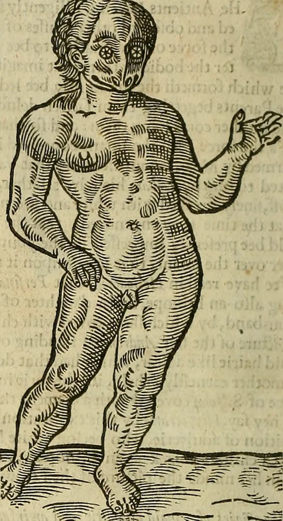 An illustration from The workes of that famous chirurgion Ambrose Parey :, 1649, leaf 695