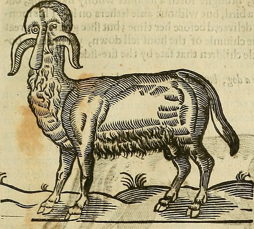 An illustration from The workes of that famous chirurgion Ambrose Parey :, 1649, leaf 698