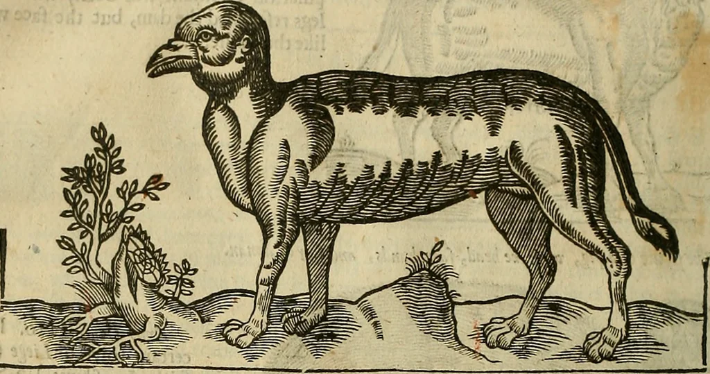 An illustration from The workes of that famous chirurgion Ambrose Parey :, 1649, leaf 699