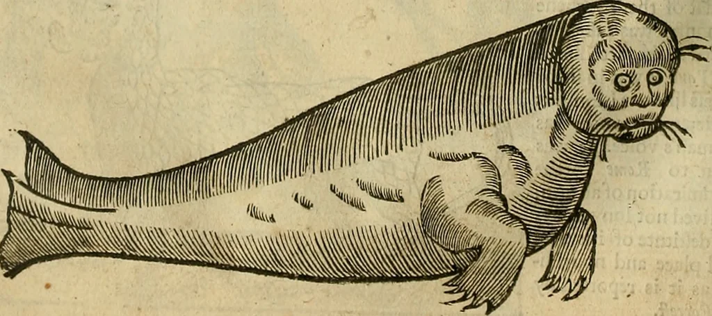 An illustration from The workes of that famous chirurgion Ambrose Parey :, 1649, leaf 713