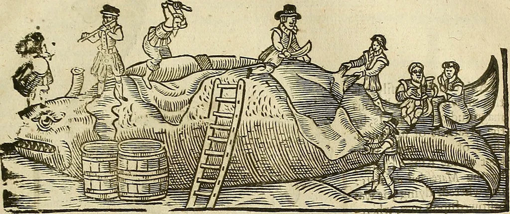 An illustration from The workes of that famous chirurgion Ambrose Parey :, 1649, leaf 720