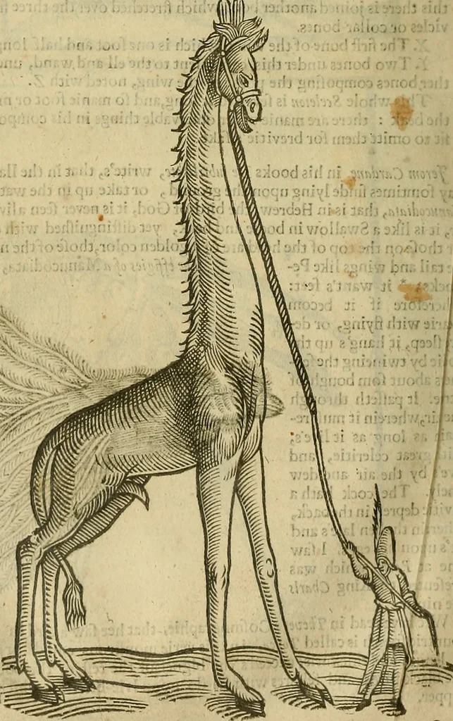 An illustration from The workes of that famous chirurgion Ambrose Parey :, 1649, leaf 723