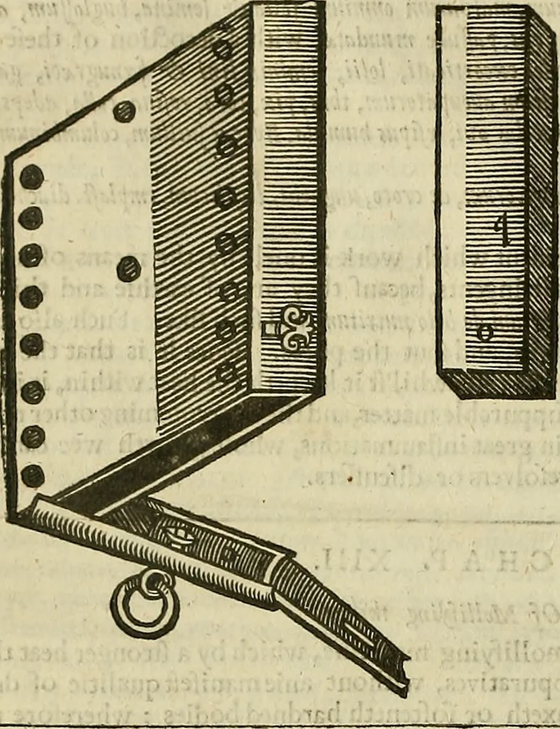 An illustration from The workes of that famous chirurgion Ambrose Parey :, 1649, leaf 741