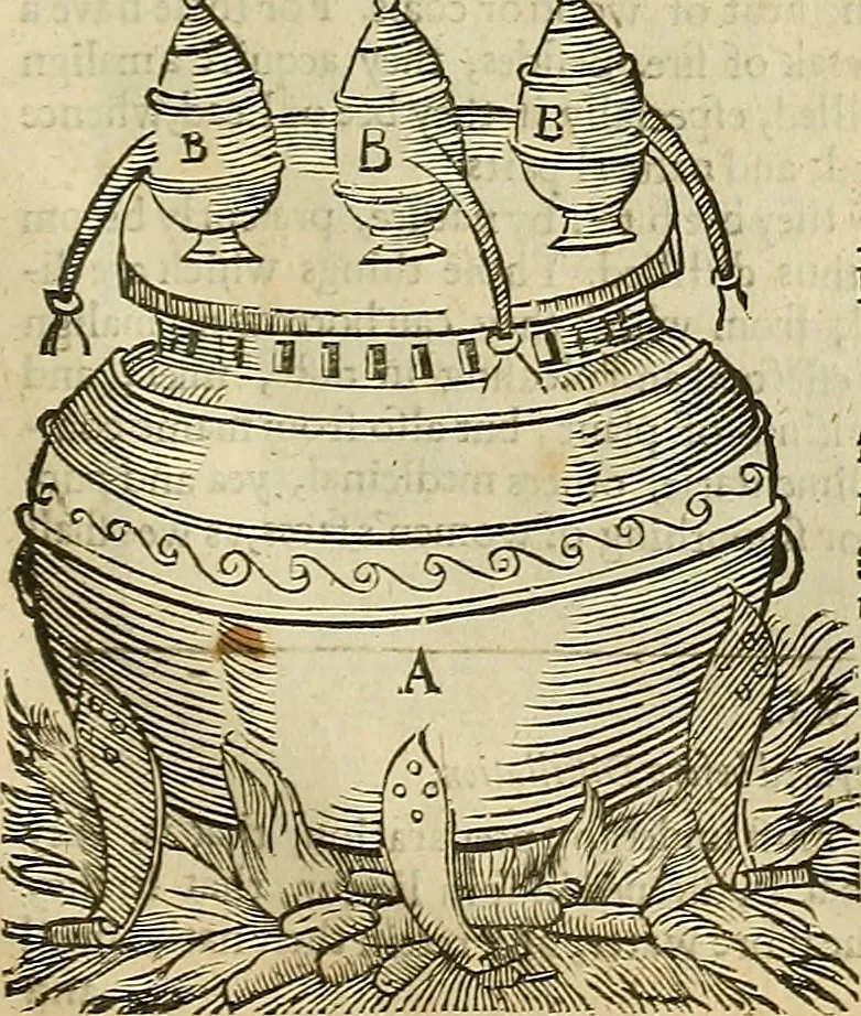 An illustration from The workes of that famous chirurgion Ambrose Parey :, 1649, leaf 772