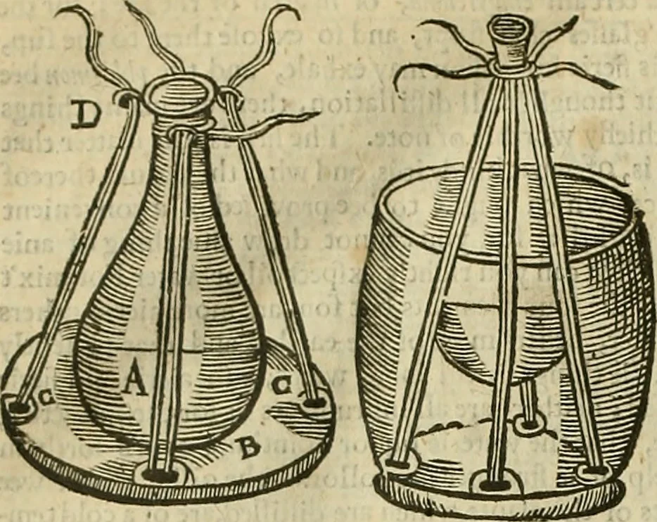 An illustration from The workes of that famous chirurgion Ambrose Parey :, 1649, leaf 773
