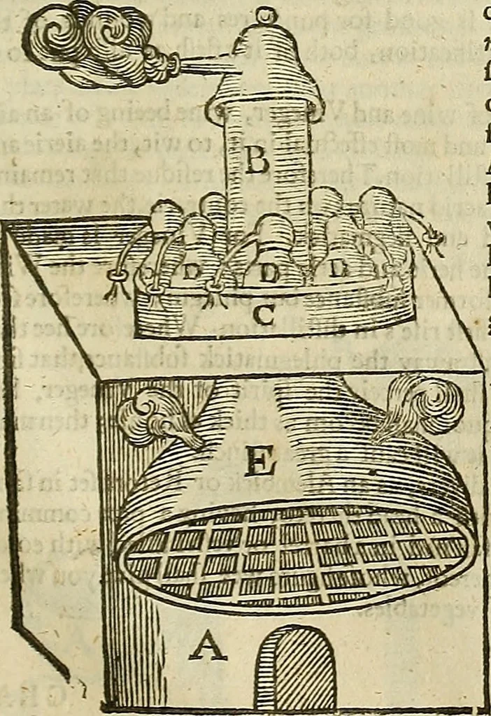 An illustration from The workes of that famous chirurgion Ambrose Parey :, 1649, leaf 774
