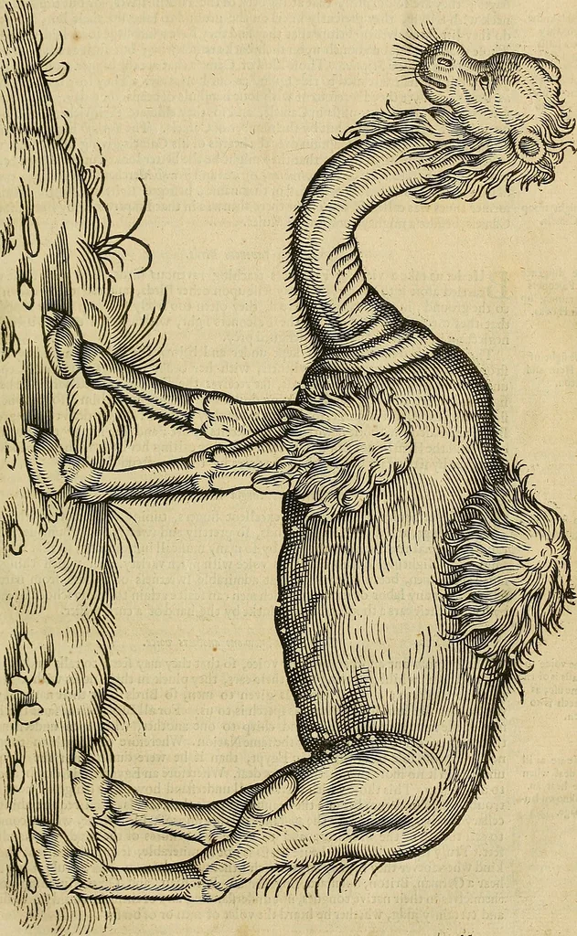 An illustration from The workes of that famous chirurgion Ambrose Parey :, 1649, leaf 78