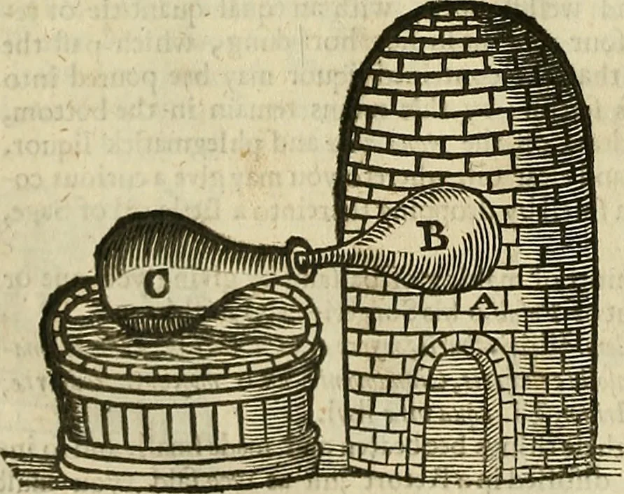 An illustration from The workes of that famous chirurgion Ambrose Parey :, 1649, leaf 781
