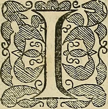 An illustration from The workes of that famous chirurgion Ambrose Parey :, 1649, leaf 8
