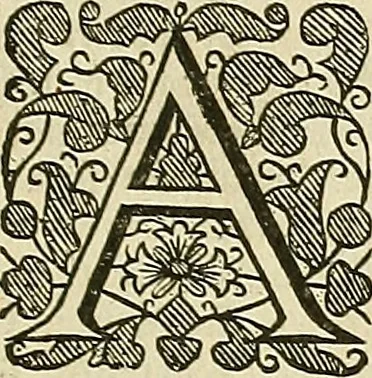 An illustration from The workes of that famous chirurgion Ambrose Parey :, 1649, leaf 870