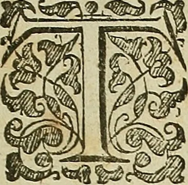 An illustration from The workes of that famous chirurgion Ambrose Parey :, 1649, leaf 888