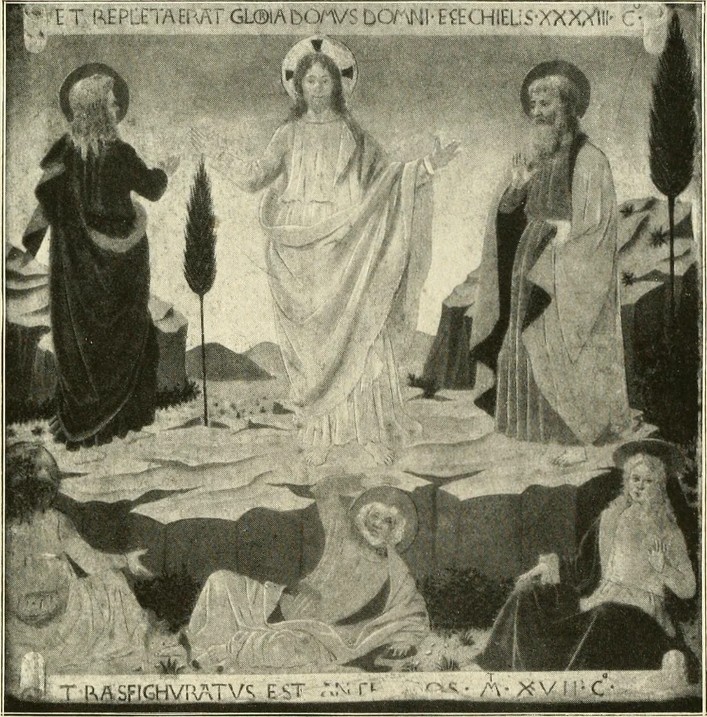 An illustration from The work of Fra Angelico da Fiesole reproduced in three hundred and twenty-seven illustrations, 1913, leaf 209