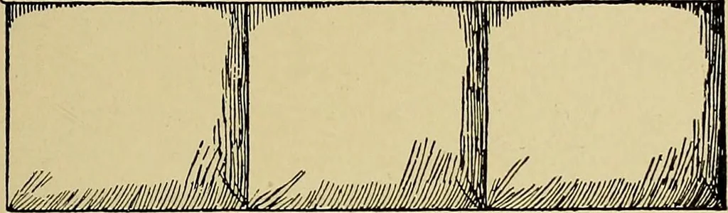 An illustration from Work and play for little girls, 1912, leaf 20